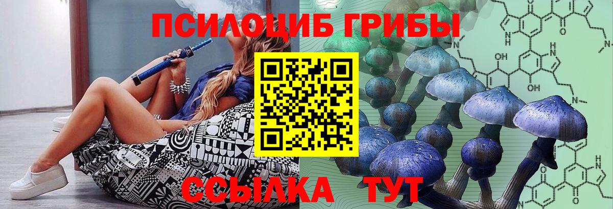 Галлюциногенные грибы Psilocybine cubensis  Галлюциногенные грибы GOLDEN TEACHER  Рыбинск  Вход с VPN 