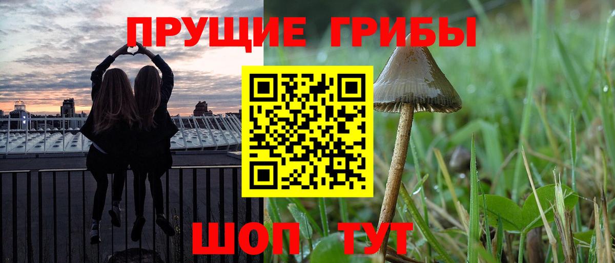 Псилоцибиновые грибы ЛСД Рыбинск